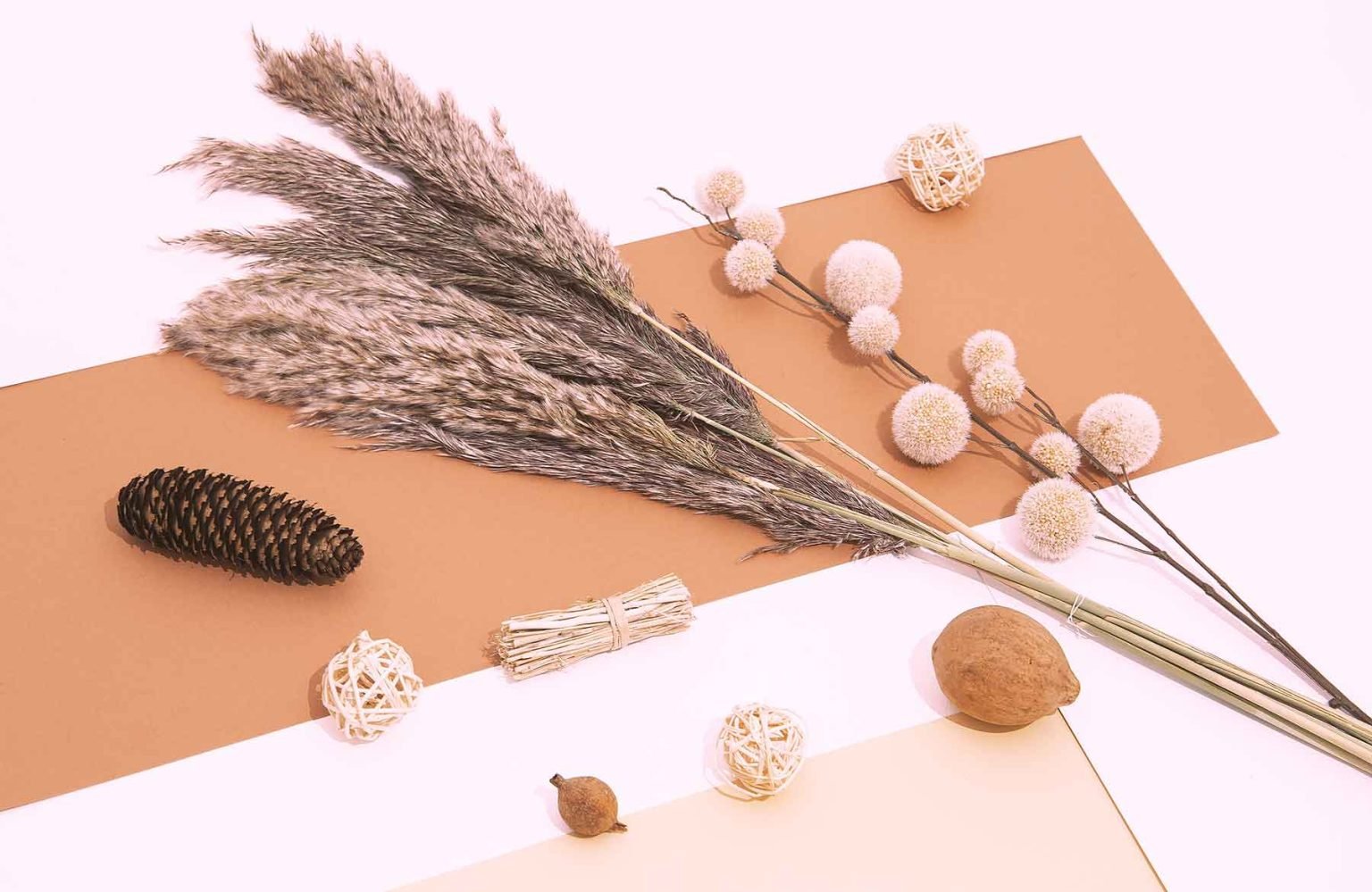 Feather